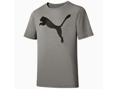 CAMISETA PUMA ACTIVE BIG LOGO 671738-06 CINZA