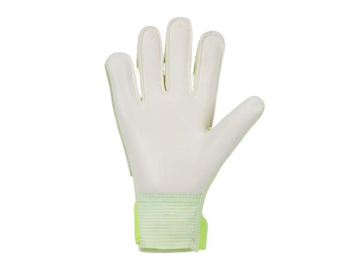 LUVA NIKE GOALKEEPER CQ7795-016 PRETO VERDE