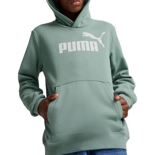 CASACO PUMA ESSENTIALS HOODIE 684908-30 VERDE