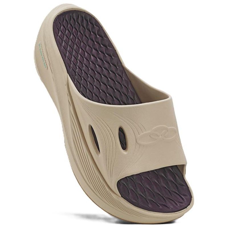 CHINELO OLYMPIKUS POS CORRE 54111405 ALGODAO CASTANHO